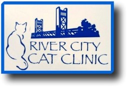 River City Cat Clinic