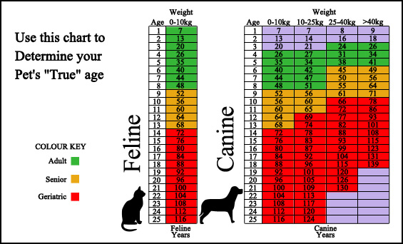 Cat Years Chart Calculator
